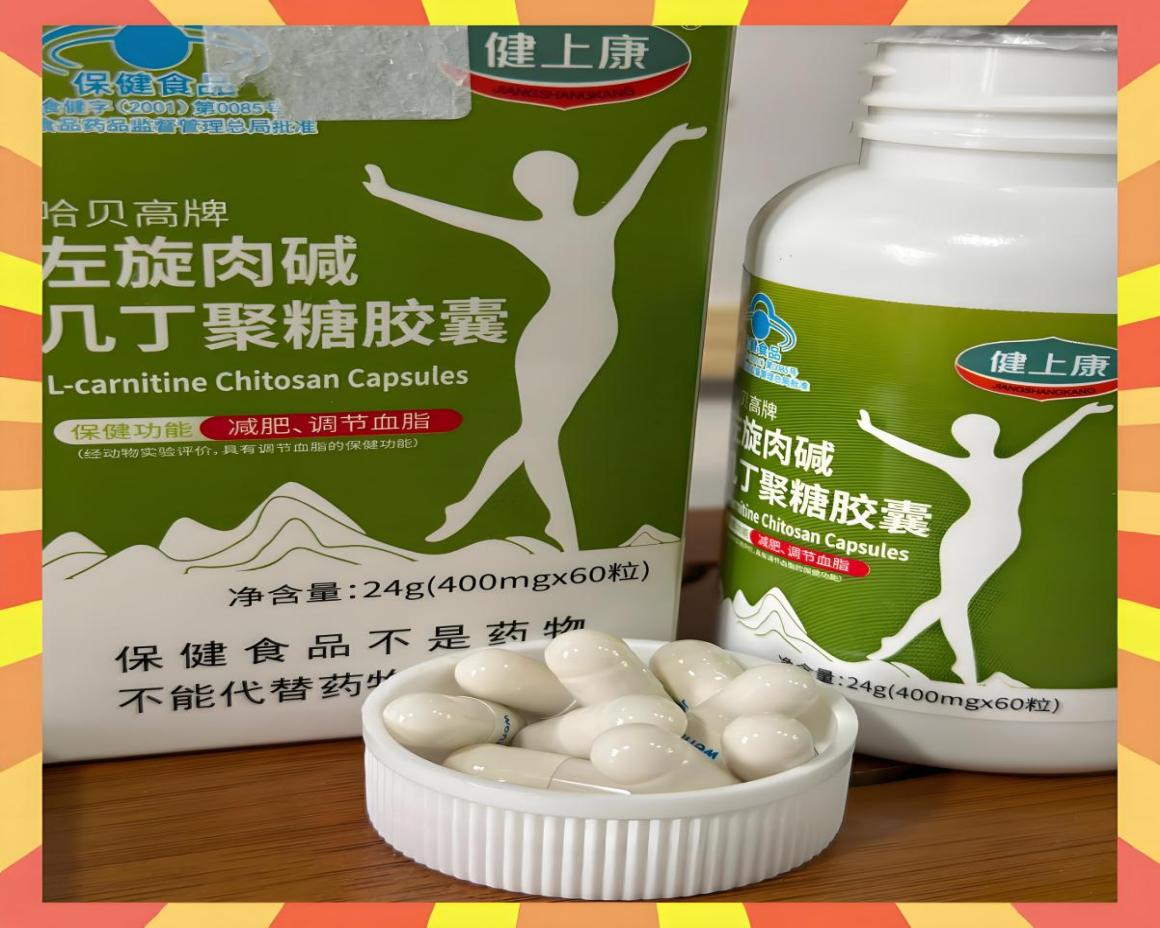 2025年左旋肉碱十大品牌评测推荐，为身体挑选一位真正高效的“脂肪搬运工"