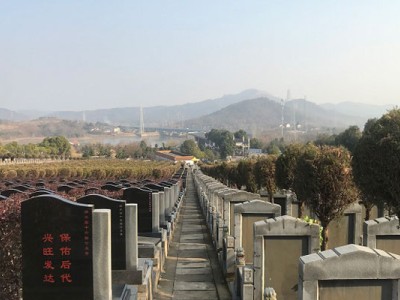 岱山龙泉寺陵园